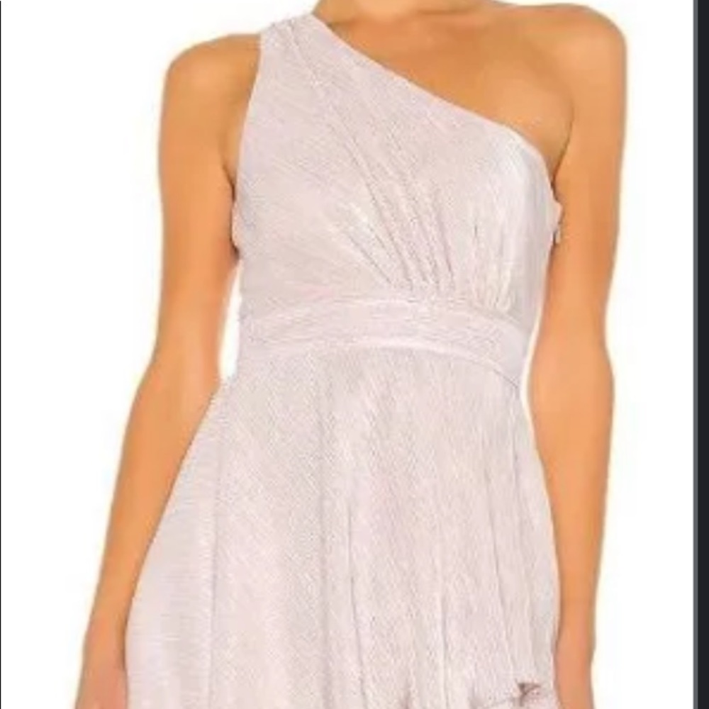 Revolve mini dress